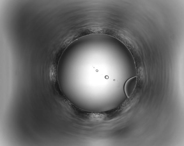 X0000096720234200802051449