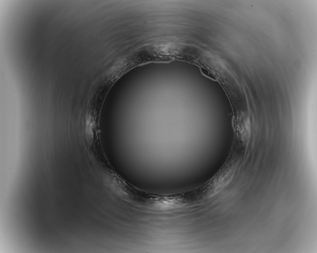 X0000096720235200802051449