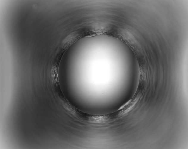 X0000096720237200802051449