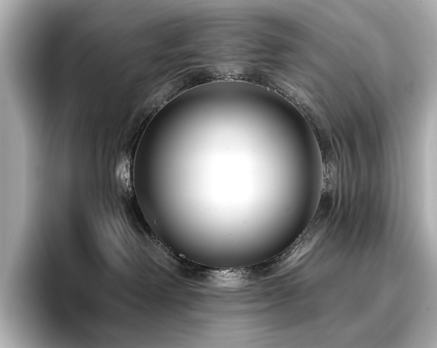 X0000096720238200802051449