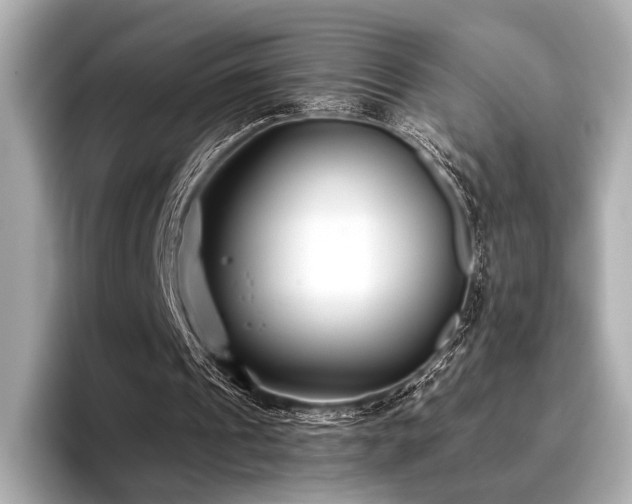 X0000096720241200802051448