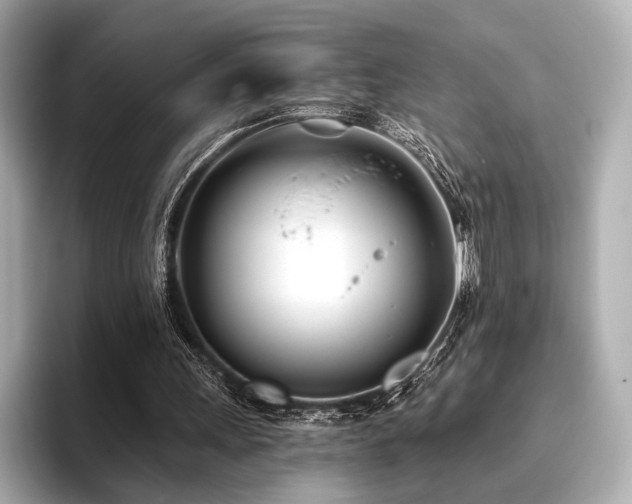 X0000096720243200802051448
