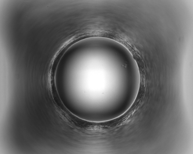 X0000096720244200802051448