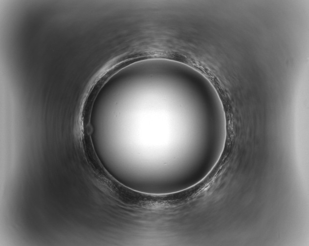 X0000096720246200802051448