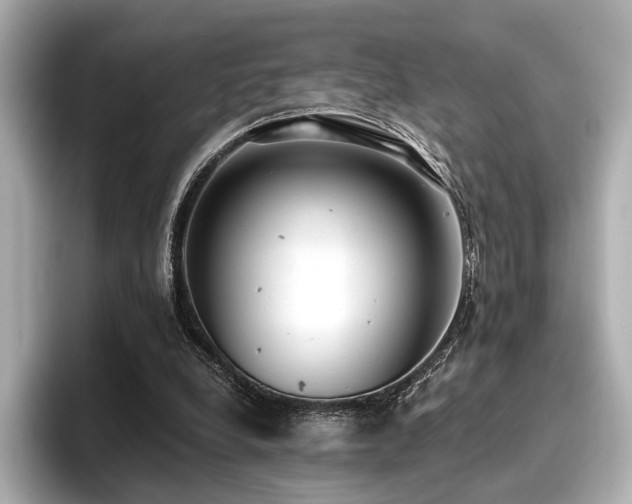 X0000096720248200802051448