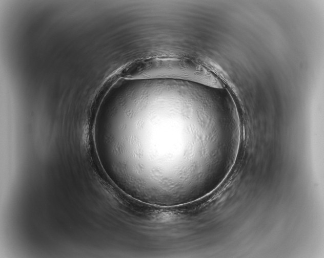 X0000096720249200802051448