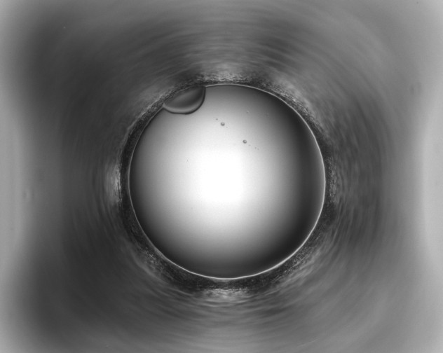 X0000096720251200802051448