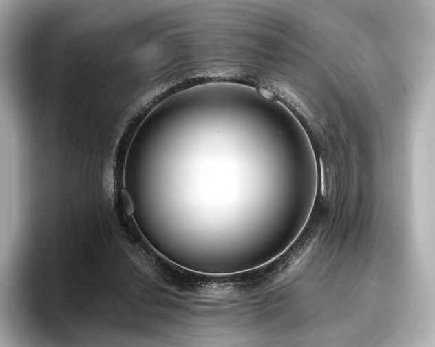 X0000096720252200802051448