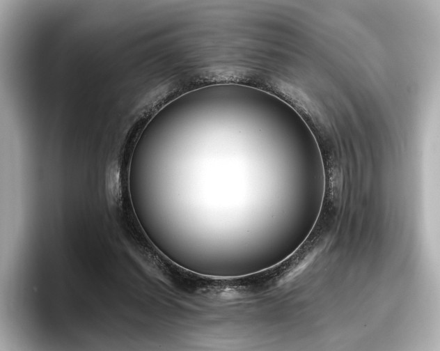 X0000096720254200802051448