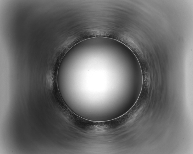 X0000096720255200802051448