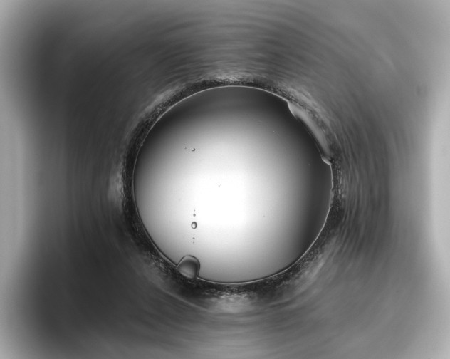 X0000096720256200802051448