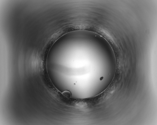 X0000096720258200802051449