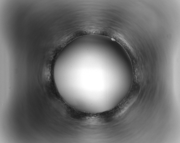 X0000096720259200802051449
