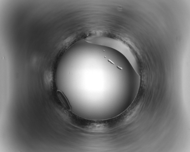 X0000096720260200802051449