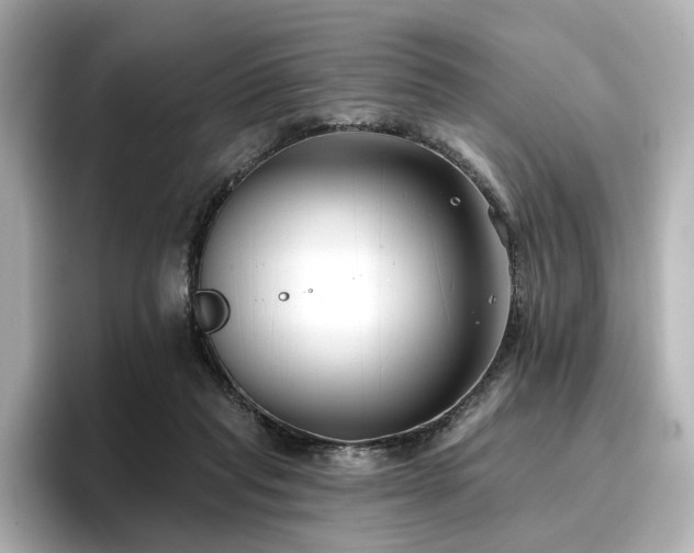 X0000096720261200802051449