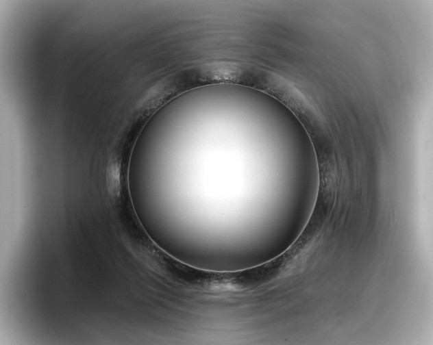 X0000096720262200802051449