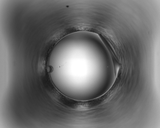 X0000096720263200802051449