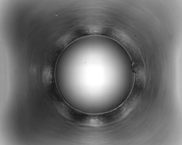 X0000096720264200802051449