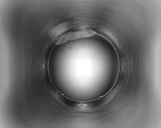 X0000096720265200802051449
