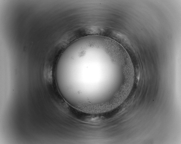 X0000096720267200802051449