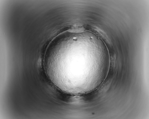 X0000096720269200802051449