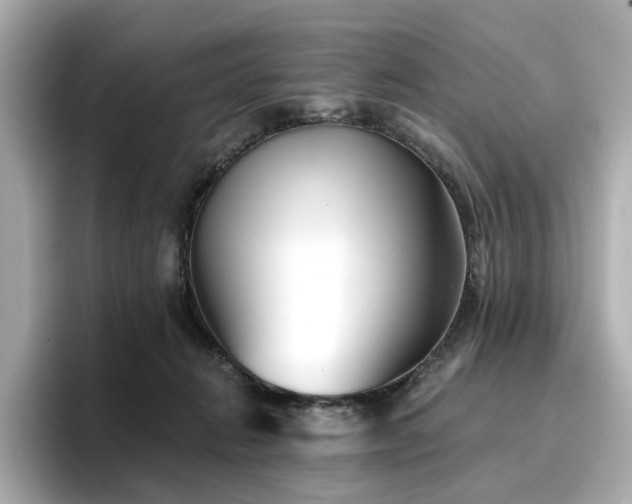 X0000096720270200802051449