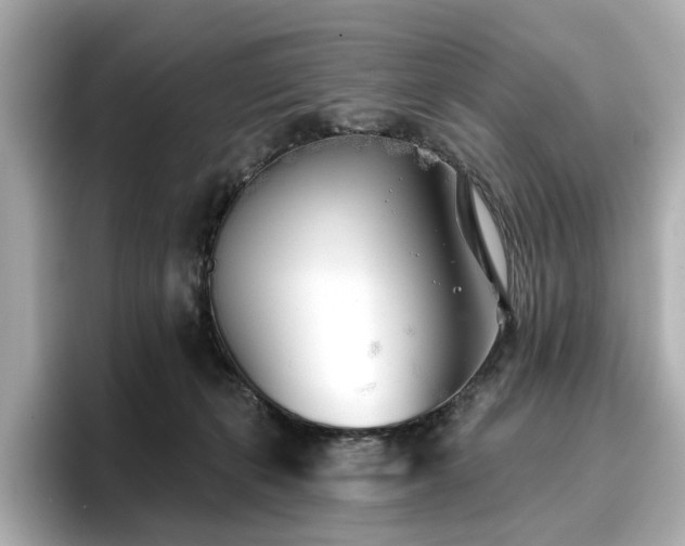 X0000096720271200802051449