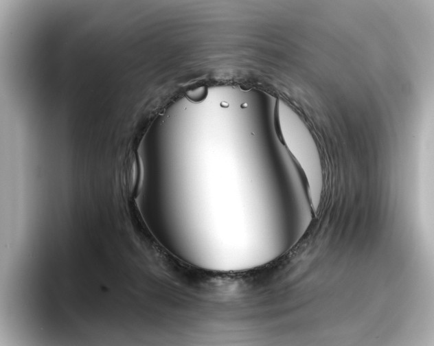 X0000096720272200802051449