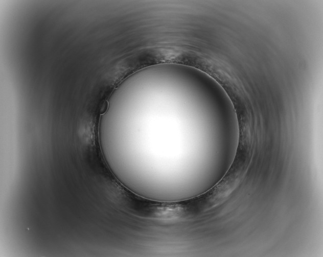 X0000096720274200802051449