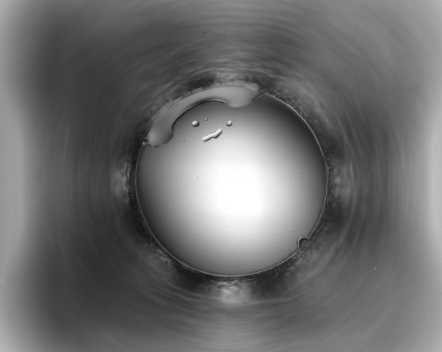 X0000096720275200802051449