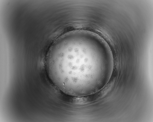X0000096720277200802051449