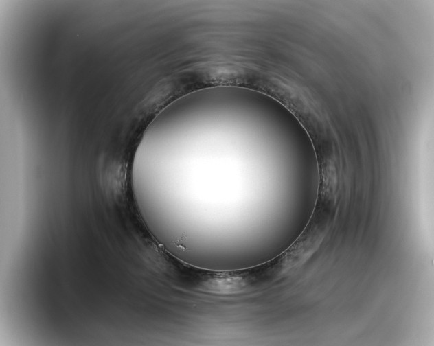 X0000096720278200802051449