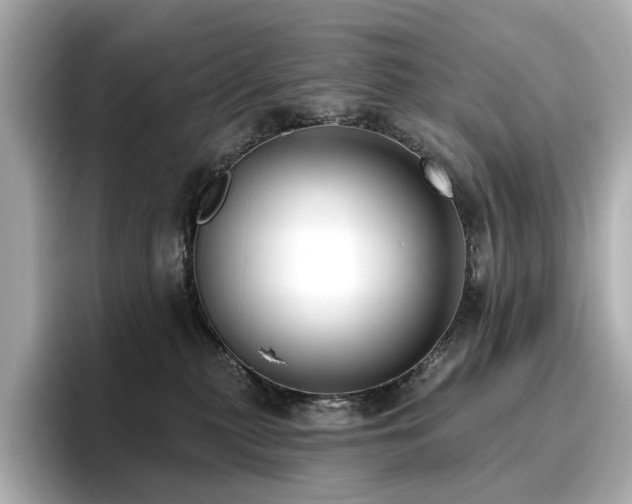 X0000096720279200802051449