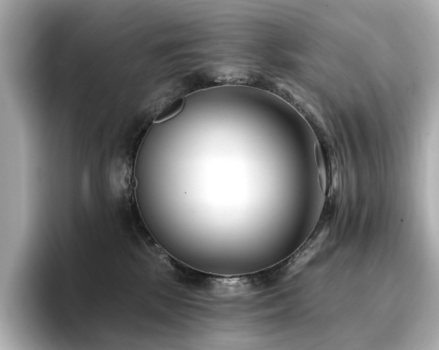 X0000096720281200802051449