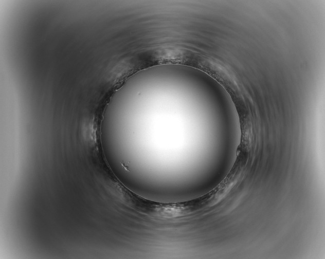 X0000096720282200802051449