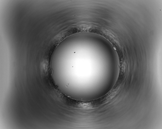 X0000096720283200802051449