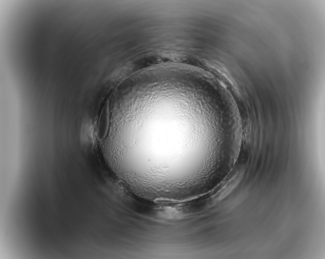 X0000096720285200802051449
