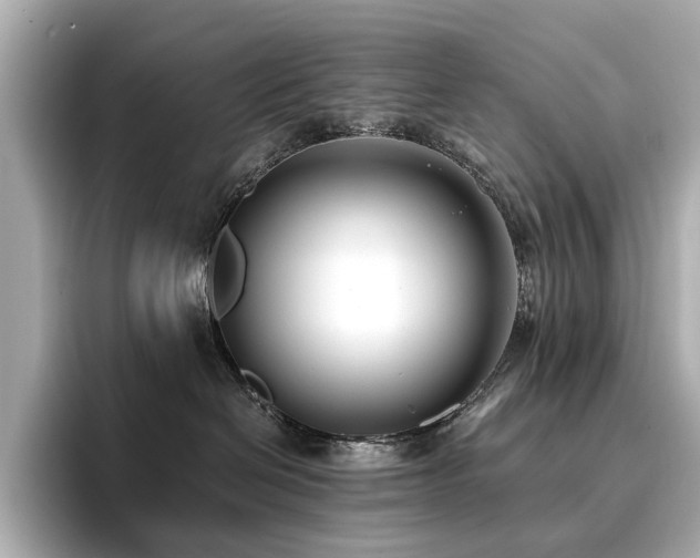 X0000096720286200802051449