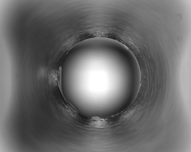 X0000096720288200802051449