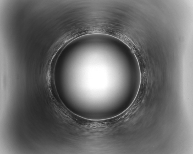 X0000096720290200802051448