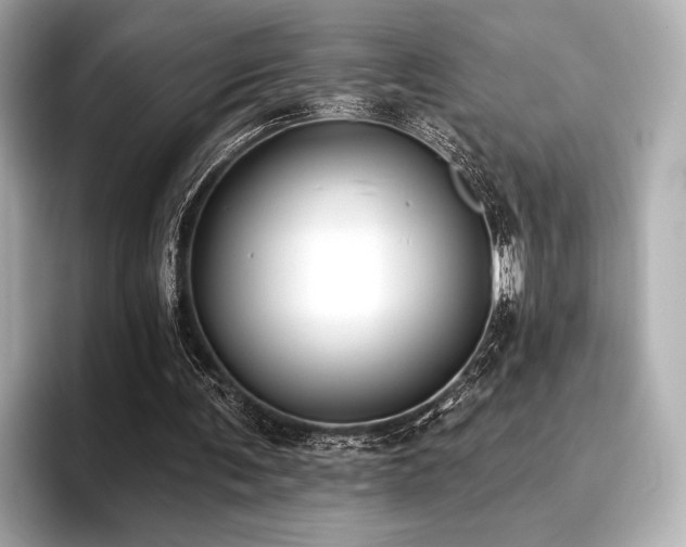 X0000096720291200802051448