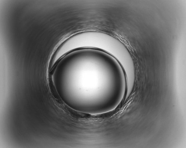 X0000096720292200802051448