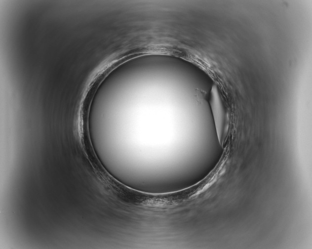 X0000096720294200802051448