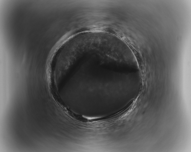 X0000096720295200802051448