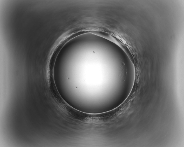 X0000096720296200802051448