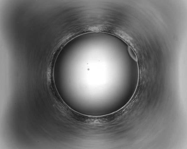 X0000096720297200802051448