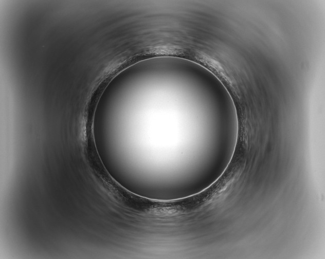 X0000096720299200802051448