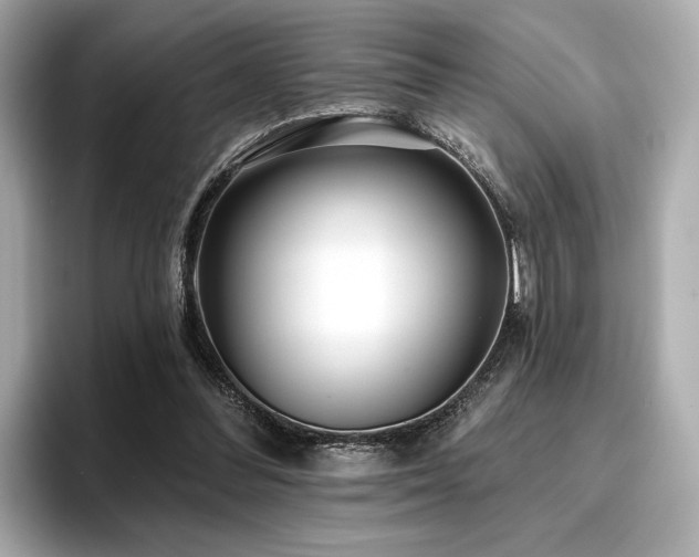 X0000096720300200802051448