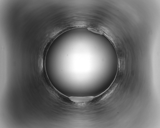 X0000096720301200802051448