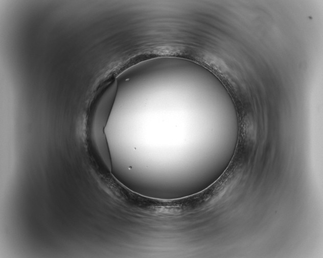 X0000096720303200802051448